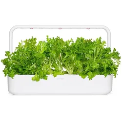 Click and Grow, Samen, Click & Grow Smart Refill Oakleaf Lettuce (Gemüsesamen)