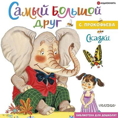 Samyy bol'shoy drug - Sofya Prokofieva, Audio, 9785171402259