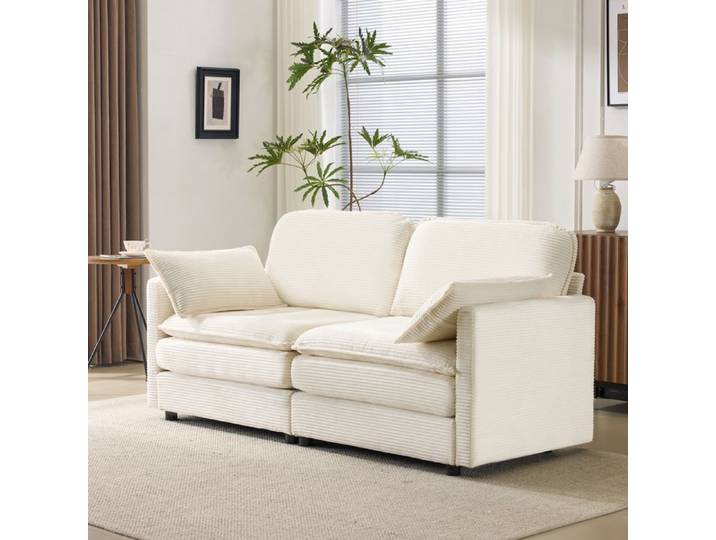 Moderne canapé minimaliste 2 places confortable et spacieux adapté pour salon / chambre