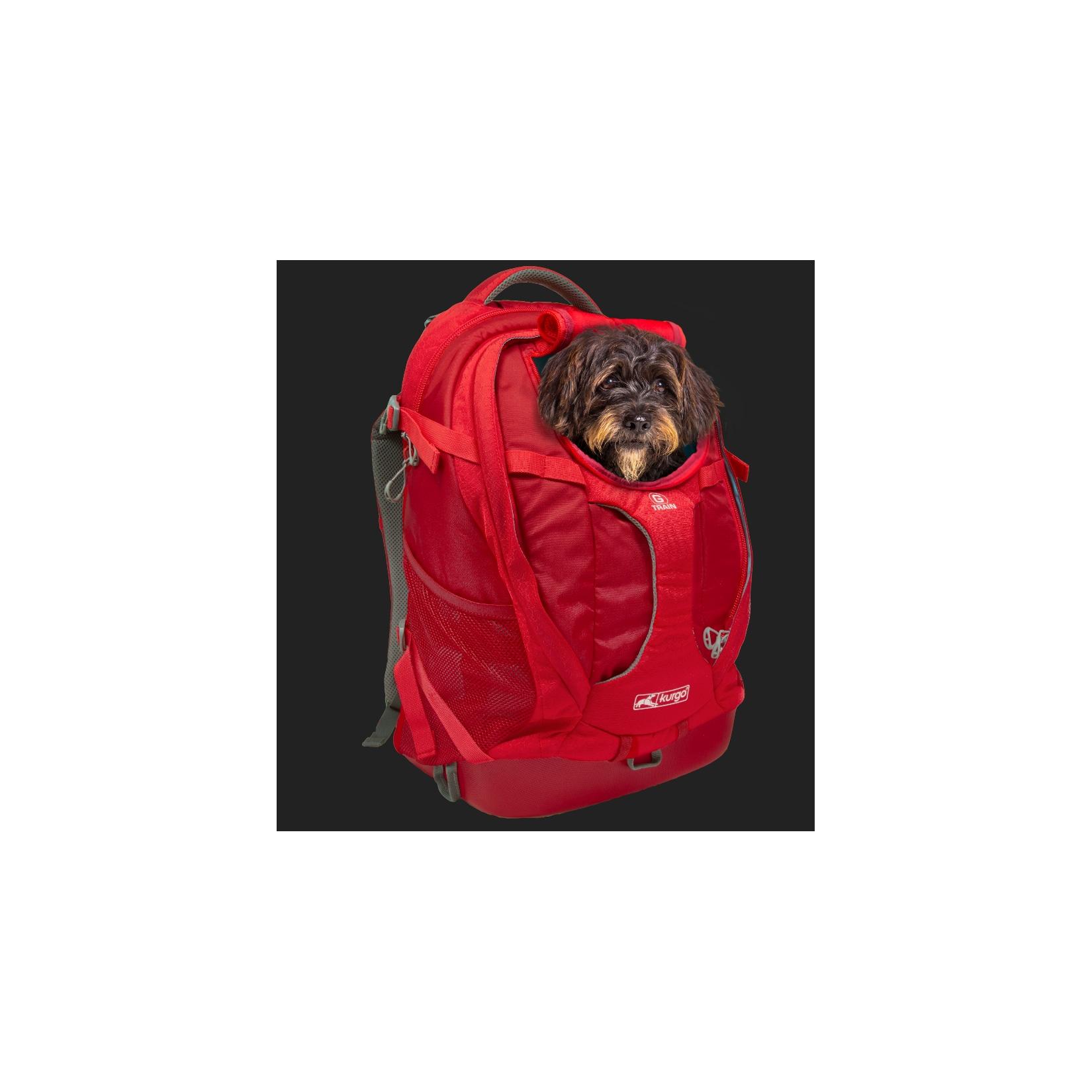Kurgo G-Train Hunderucksack, Schwarz
