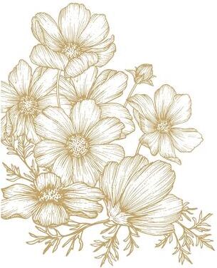 Veer Decor Poppies Linework Wall Mural