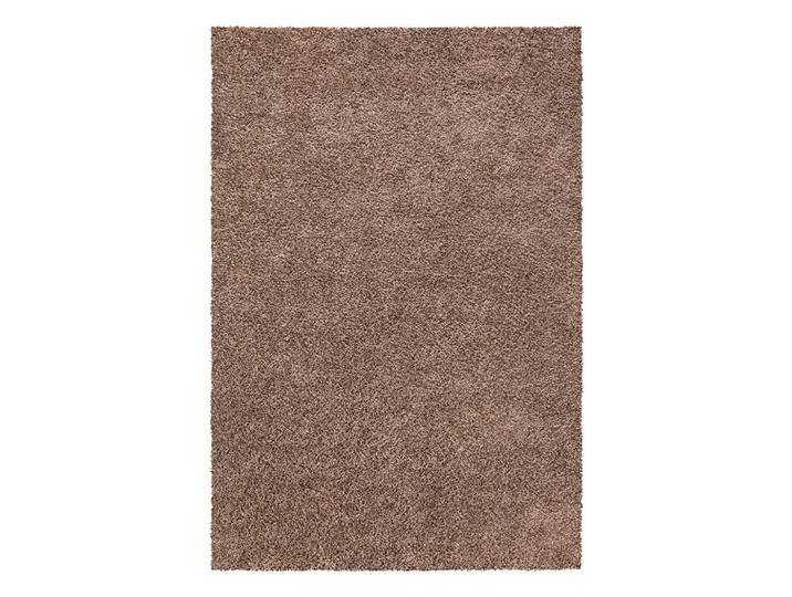 Shaggy Arya, Braun, Uni, rechteckig, 120x170 cm, Teppiche und Böden, Teppiche, Hochflorteppiche & Shaggys