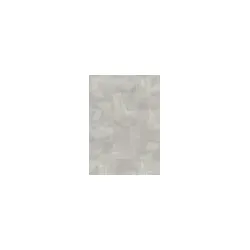 Ziro Vinyl Basic Rigid 4.0 - zum Klicken Beton Termoli