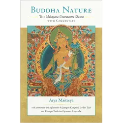 Buddha Nature, Fachbücher von Jamgon Kongtrul Lodro Taye, Maitreya, Asanga, Khenpo Tsultrim Gyamtso