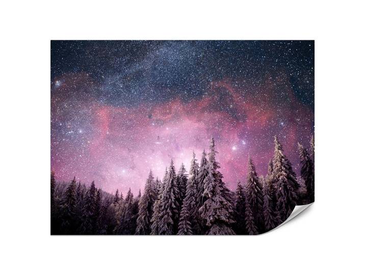 Muralo Fototapete für Schlafzimmer Verzauberter Tannenwald Winter Aurora 500x350, Rosa, Violett, Weiß, Grau, Schwarz, Papier, Baum/Pflanze/Natur, Rechteckig, 500x350 cm, Tapeten & Wandverkleidungen, Fototapeten
