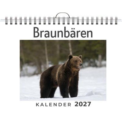 Braunbären