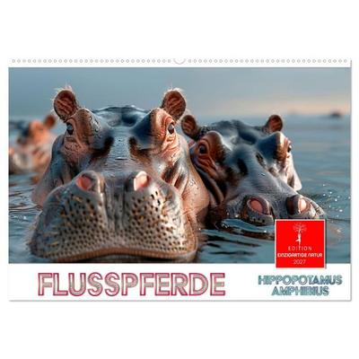 Flusspferde - Hippopotamus amphibius (Wandkalender 2027 DIN A2 quer), CALVENDO Monatskalender