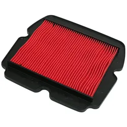 MIW Luftfilter H1209 für Honda GL1800 Gold Wing (01-05)