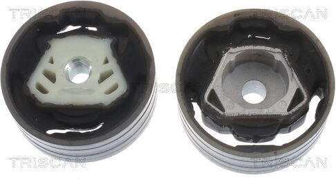 Triscan Lagerung, Motor 8505 29137 Für Cupra