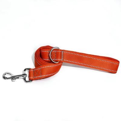 Inspire Select Reflective Nylon Dog Leash 5ft Heavy Duty Walking Lead With 360 Swivel Clasp, Comfort Handle & Night Safety Design orange l