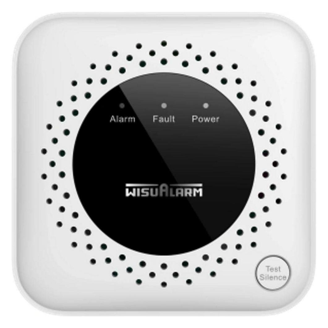 Dahua HY-GA40A gas detector Methane (HY-GA40A)