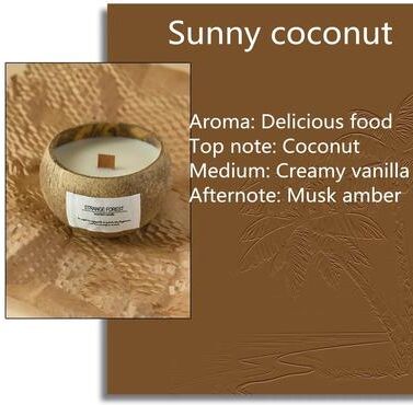 Uplift Picks Handmade Coconut Shell Candle Natural Soy Wax Aromatherapy Candle For Home Decor And Gifts sunny Coconut