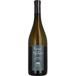 Vent de Spilite 2024 - Domaine Ogereau