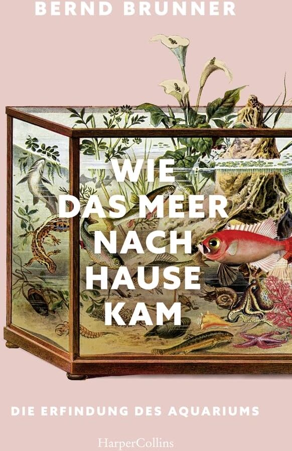 Bernd Brunner - Wie das Meer nach Hause kam. Die Erfindung des Aquariums: AKTUALISIERTE NEUAUSGABE des Kulturgeschichts-Klassikers Mit über 100 Abbildungen TikTok-Trend Aquaristik Süß- und Meerwasserfische - Preis vom 01.10.2026 17:08:56 h