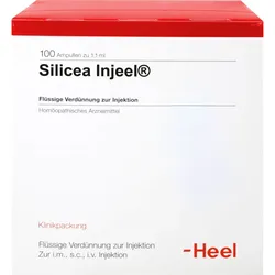 Silicea Inj 100 ST