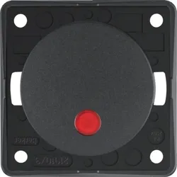 Berker Wipptaster anth 937722505