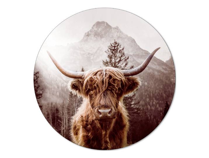 Tableau verre Scottish Highland Cattle r Verre flotté Marron/Gris Ø 50cm