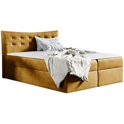 BOXBETT Havana - H3