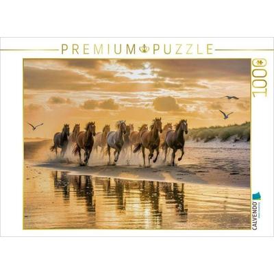 CALVENDO Puzzle Wo Fell und Flut sich berühren. | 1000 Teile Lege-Größe 64x48cm Foto-Puzzle für glückliche Stunden, von , Calvendo Puzzle