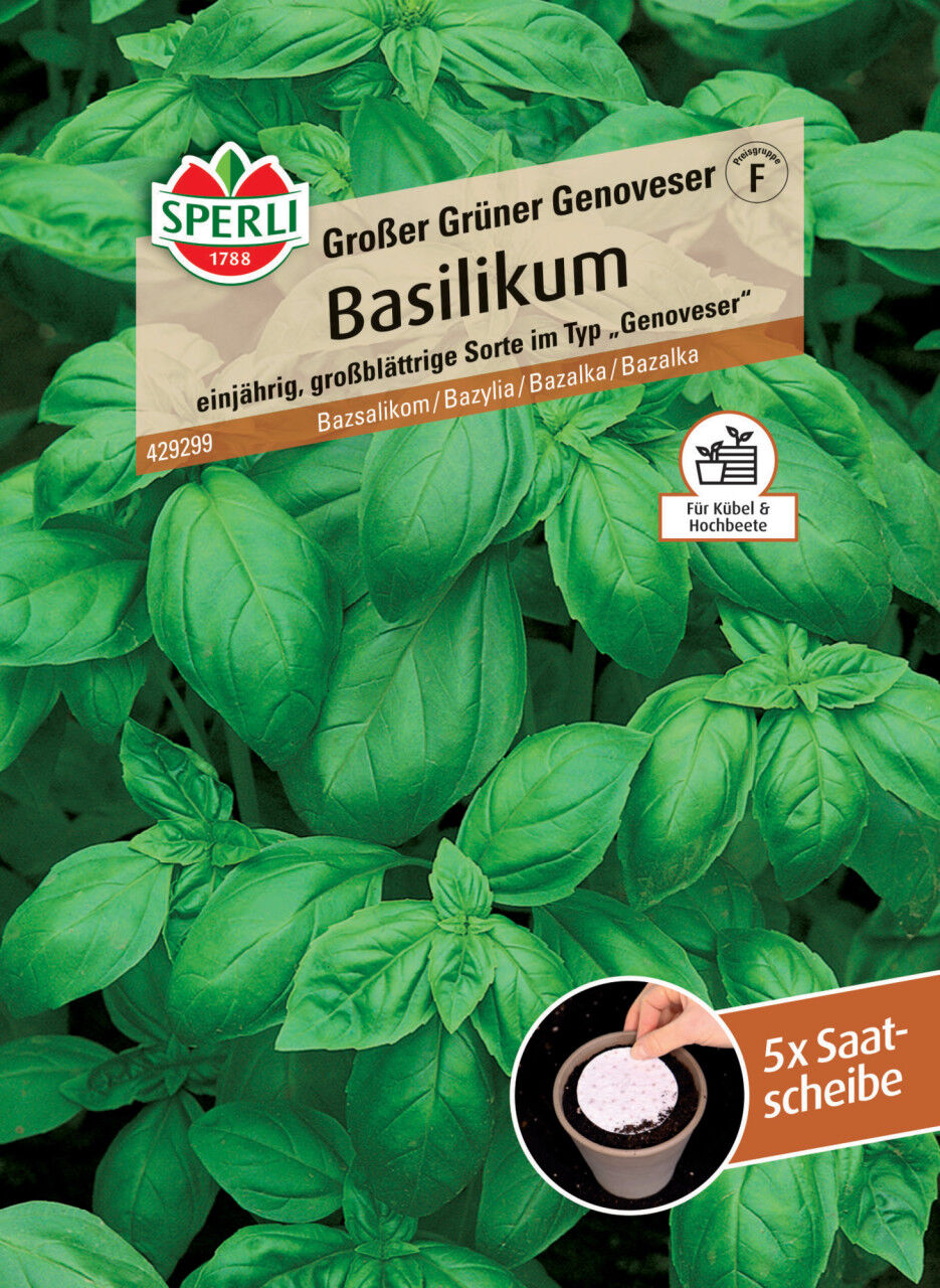 Sperli Basilikum Grosses Grünes Genoveser Saatscheibe