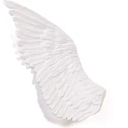 Memorabilia Mvsevm Wing Wanddekoration linker Flügel