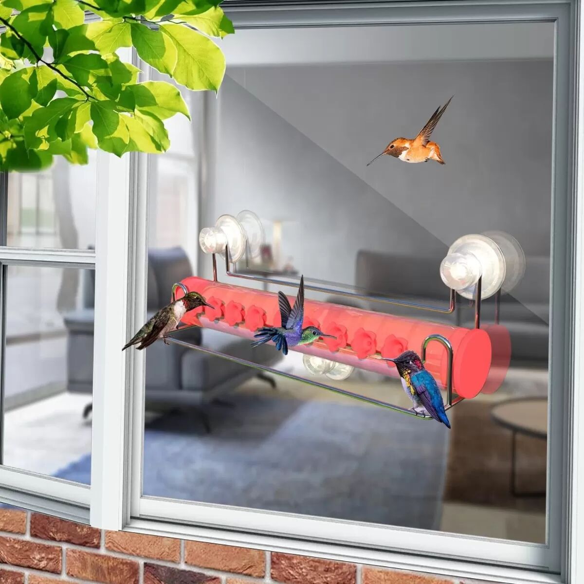 INF Klare Fenster-Kolibri-Futterstation - Genießen Sie Vogelbeobachtung aus nächster Nähe