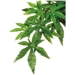 6x Exo Terra Hagen EXOTERRA Werk ABULITON L (Dekoration, Pflanzen), Aquarium Dekoration