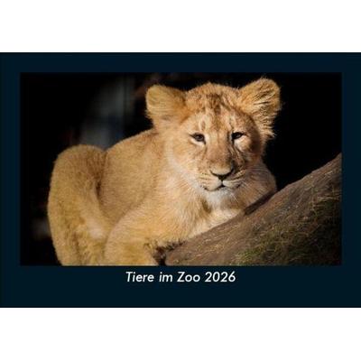 Tiere im Zoo 2026 Fotokalender DIN A5