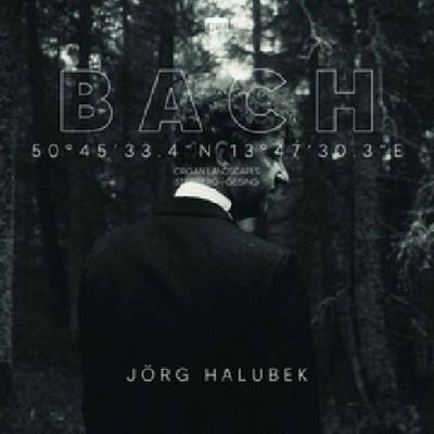 Bach:Organ Landscapes VIII (Steinberg,Geising) - Jörg Halubek, CD