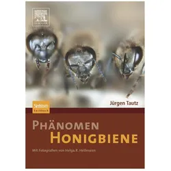 Phänomen Honigbiene, Fachbücher von Jürgen Tautz, Jürgen Tautz Helga R Heilmann