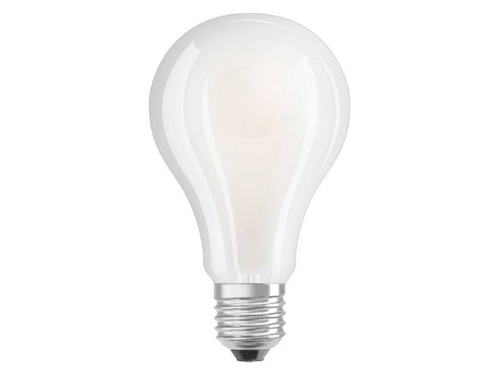 Glühbirne LED / Ledfilament E27 24W 3452 Lumen