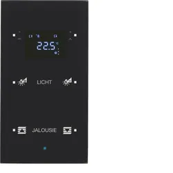 Berker 75642135 Glas-Sensor 2fach mit Temperaturregler TS Sensor konfiguriert, schwarz