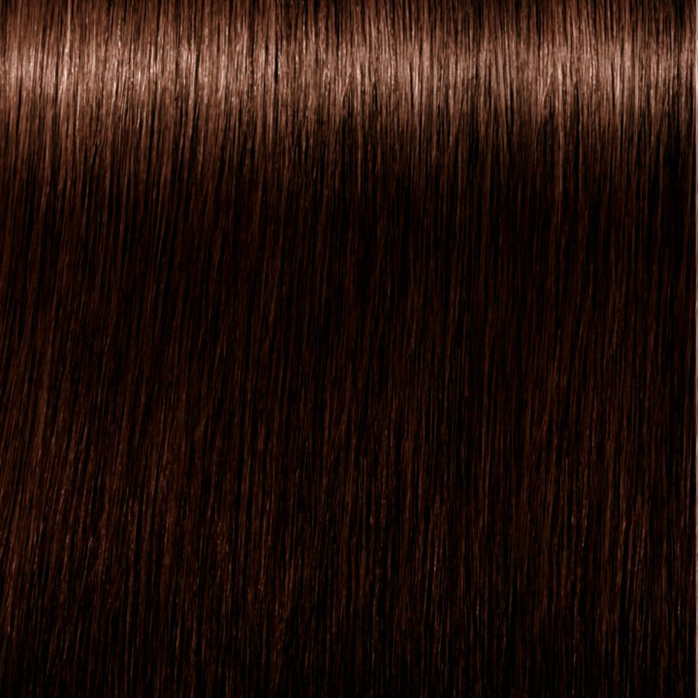 Schwarzkopf Igora Royal Absolutes #4-60
