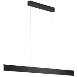 Helestra LED-Pendelleuchte Nex Alu, Eisen, Stahl & Metall Schwarz