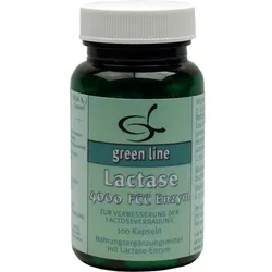 Lactase 4000 Fcc Enzym 100 ST