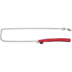 Martin Sellier Klassische Nylon-Hundeleine (100, 25, Hund, Allgemein, Spazieren), Halsband + Leine