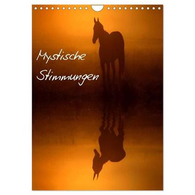 Mystische Stimmungen (Wandkalender 2026 DIN A4 hoch), CALVENDO Monatskalender