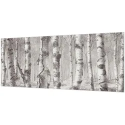 FOTOTAPETE 250x104 cm - Birkenwald