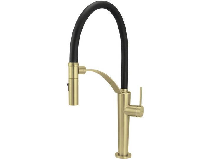 Deante Küchenarmatur Küchenarmatur Gold gebürstet mit magnetischer Halterung