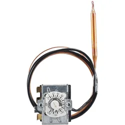 Jumo Thermostat 60003224