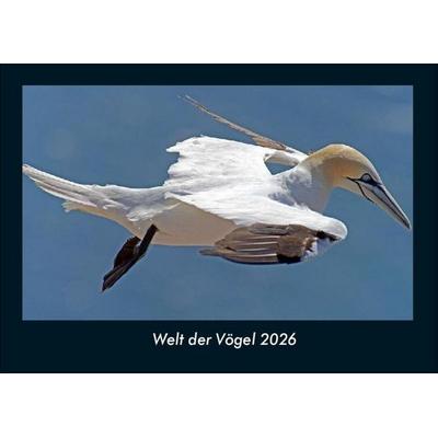 Welt der Vögel 2026 Fotokalender DIN A4