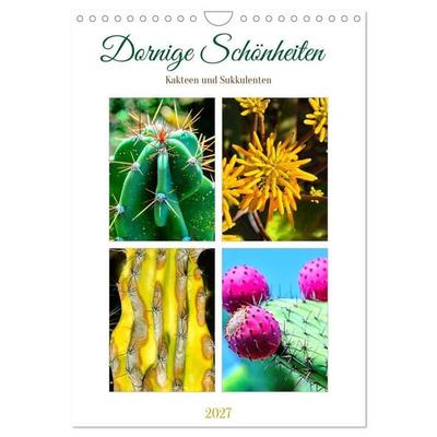 Dornige Schönheiten - Kakteen und Sukkulenten (Wandkalender 2027 DIN A4 hoch), CALVENDO Monatskalender