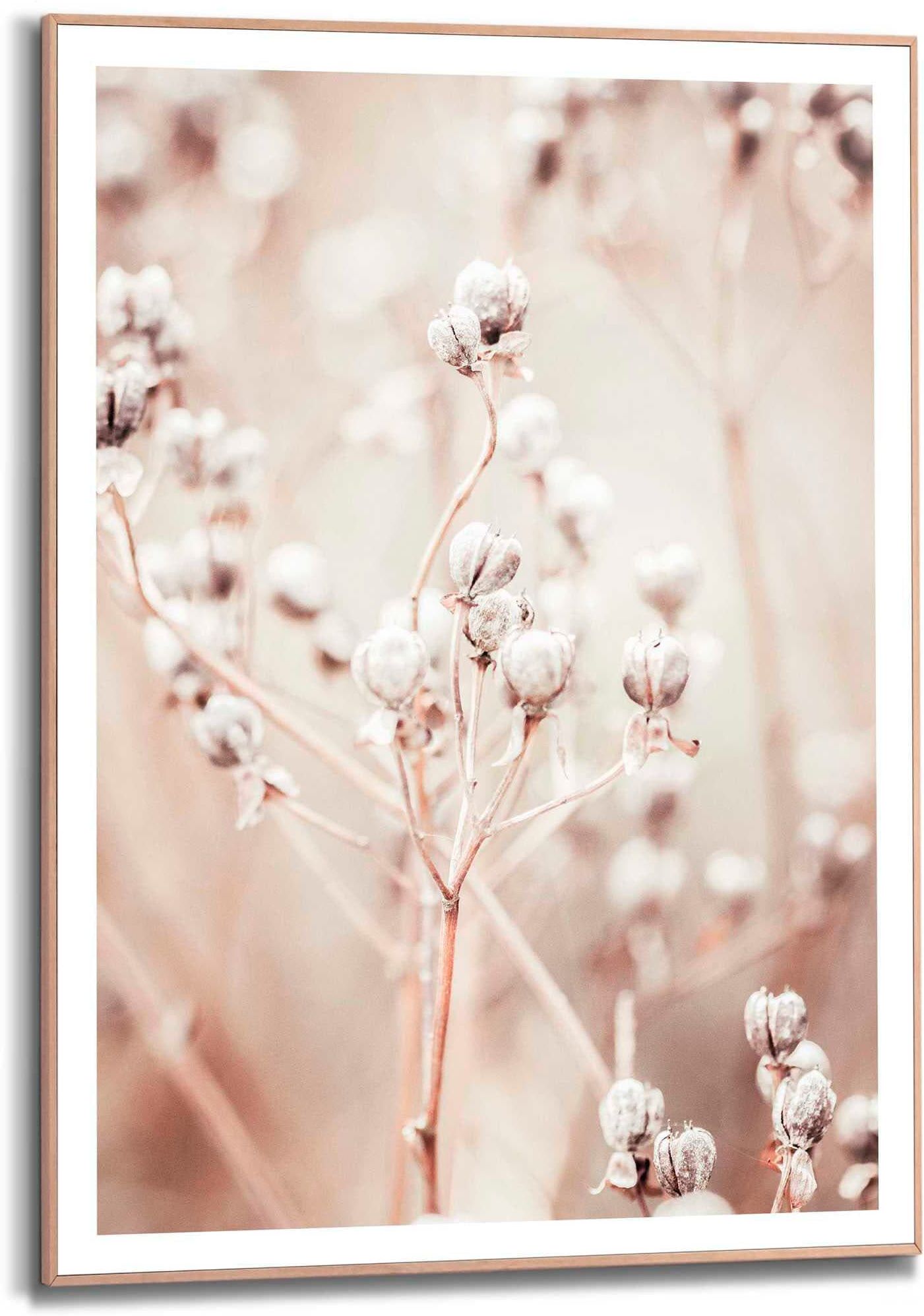 Reinders! Poster REINDERS "Getrockneter Zweig", beige (farbe bild(er): beige), B:50cm H:70cm T:1,6cm, MDF, Bilder, Poster farbe bild(er): beige B/H/T: 50cm x 70cm x 1,6cm