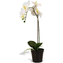 Orchidee Kunstpflanze, Höhe 55 cm, weiß