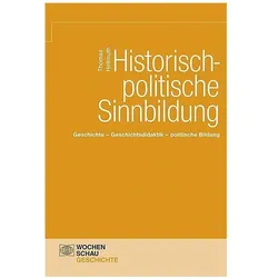 Historische-politische Sinnbildung, Sachbücher