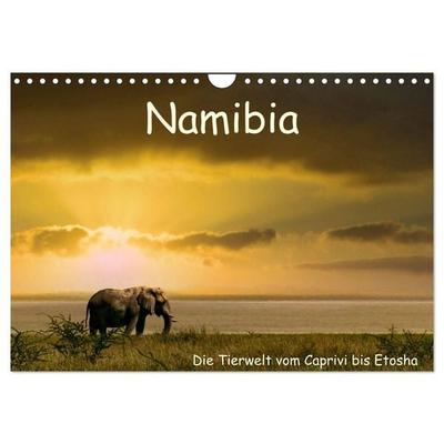Namibia – Die Tierwelt vom Caprivi bis Etosha (Wandkalender 2027 DIN A4 quer), CALVENDO Monatskalender
