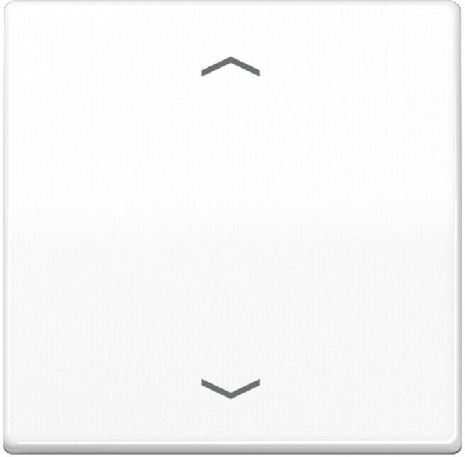 Jung Wippe Symboles aws pour bouton-poussoir AS 591 P WW (AS591PWW)