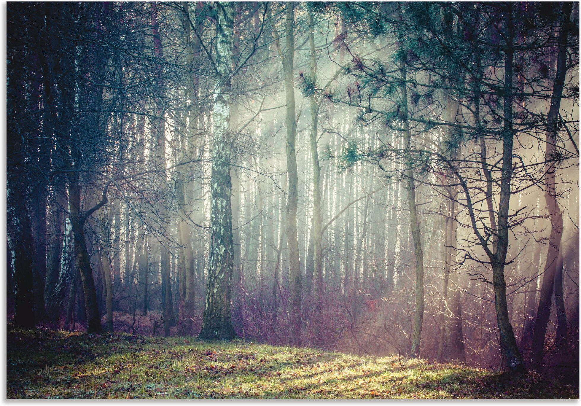 Alu-Dibond-Druck ARTLAND "Sonnenstrahlen im Wald", blau (farbe bild(er): blau), B:130cm H:90cm, Bilder, Alu-Dibond-Druck, für Innen- und Aussenbereich geeignet, Outdoorbild farbe bild(er): blau B/H/T: 130cm x 90cm, Alu-Dibond-Druck Waldbilder Querformat, 