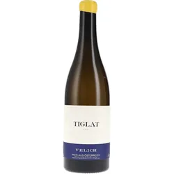 Tiglat Velich 2021