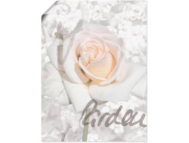 Wandbild ARTLAND In Lettern - Rose , weiss (farbe bild(er): weiß), B:60cm H:80cm, Bilder, Wandbild, als Leinwandbild, Poster in verschied. Grössen